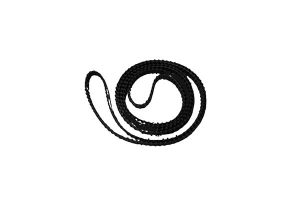 GBC Timing Belt | 1981509